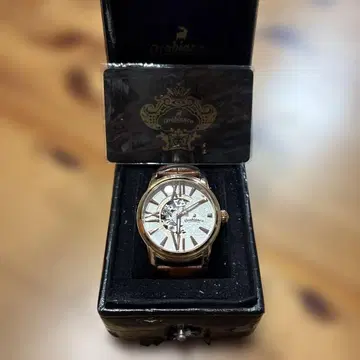 오로비안코 자동 와인딩 시계 브라운 가죽