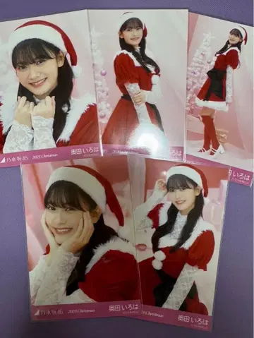 노기자카46 브로마이드 오쿠다 이로하 크리스마스 2023 5종 컴프