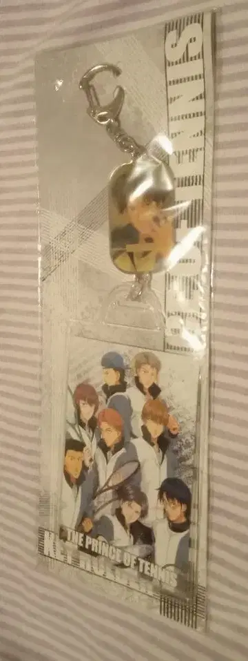 테니스의 왕자님 효테이 키링