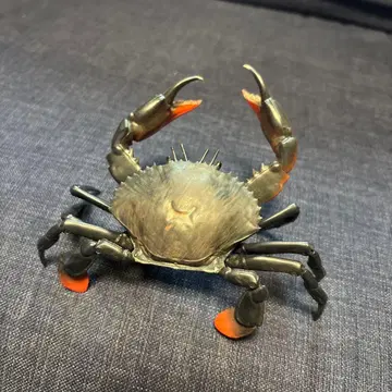 생물대도감 게 01 노코기리가자미