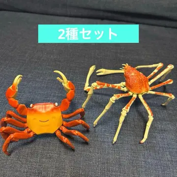 생물대도감 게 02 2종 세트