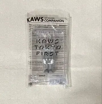 KAWS 키링 그레이 TOKYO FIRST COMPANION