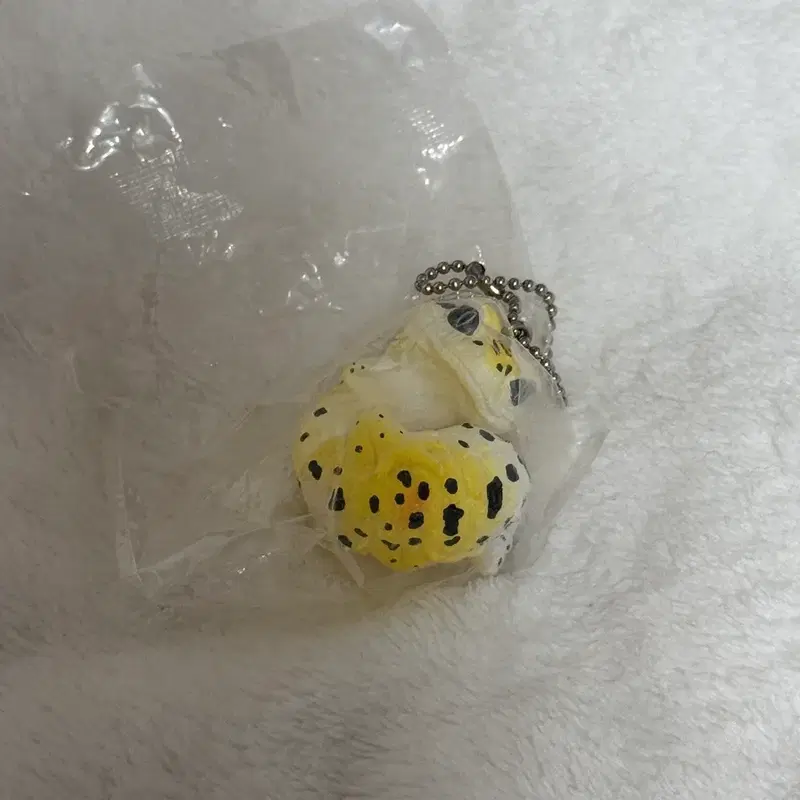 레오파드 게코 키링