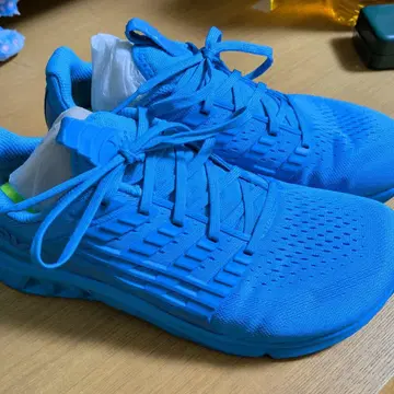 INOV8 F-Lite Max 파랑 26.5cm