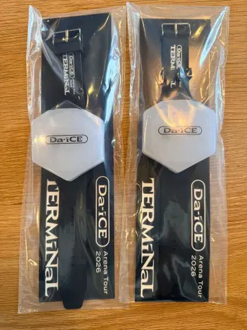 새상품 미사용 Da-iCE TERMiNaL 2026 팔찌 라이트 2개