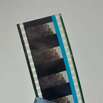 극장판 바이올렛 에버가든 입장자 혜택 필름