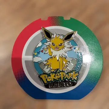 포케파크 관동 핀 배지 썬더스