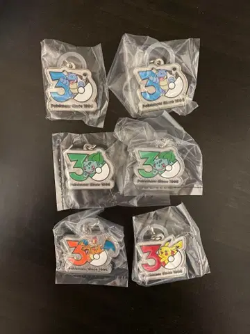 포켓몬 30주년 기념 키링 6개 세트