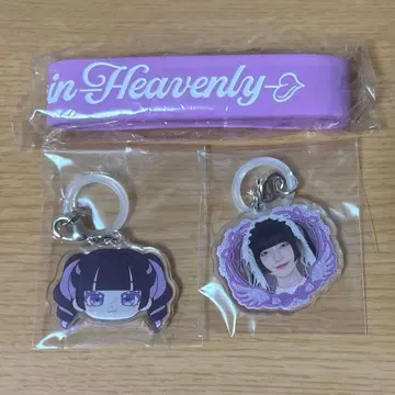 큐루링떼시떼미떼 큐루시떼 홀 투어 2026 칸야네