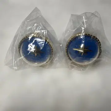 프로세카 라이트 5th 호시노 이치카