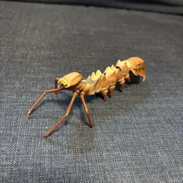 생물대도감 애벌레02 샤치호코가 유충