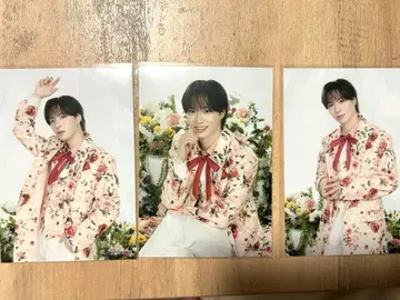 시오타 마사키 브로마이드 컴플리트 3장 세트