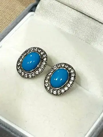 슬리핑 뷰티 터콰이즈 귀걸이