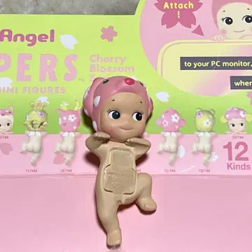 소니 엔젤 히퍼스 체리 블라썸 시리즈 달마시안