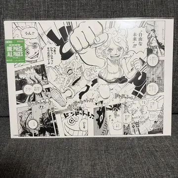 원피스 ALL PAGES B4 에그헤드 편 보니 니카