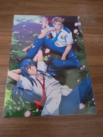 마크로스 F 알토 미셸 아트 카드