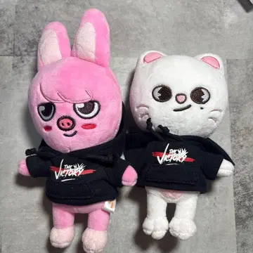 skzoo 미니 플러시 창빈 현진