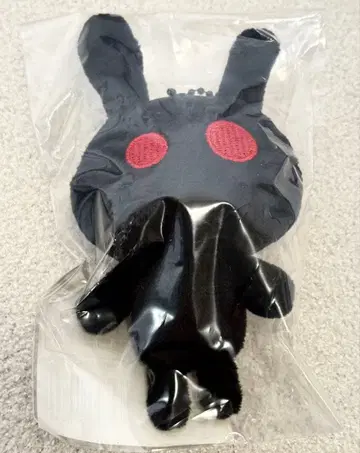 카토리 신고 WHO AM I 검은 토끼 키링 약 12cm 미사용