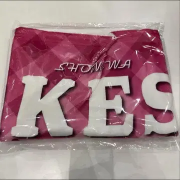 포카포카 SHOW-WA 무카이야마 타케시 담요 후지TV