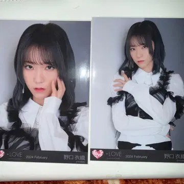 노구치 이오리 브로마이드 광상카타스트로피