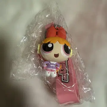 파워퍼프걸 드림 딜라이트 키링