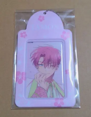 타몬 군 지금 어느 쪽!? 사진 폴더 벚꽃