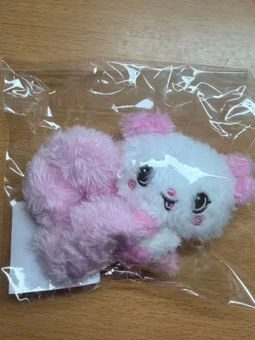 NCT WISH - [Our WISH] MD] 스크런치 사쿠야