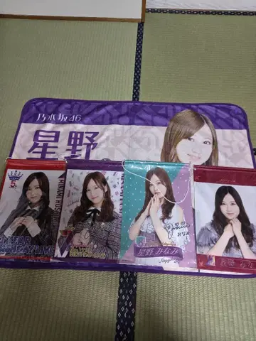 호시노 미나미 태피스트리 담요