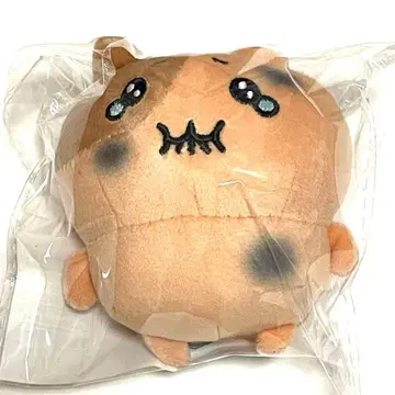 모치냐미 Dr.g 키링 한국 올리브영 한정판