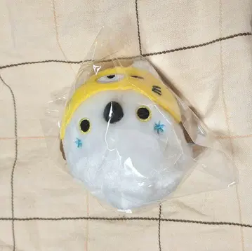 토리당고 고토치당고 시마연가(북극여우)