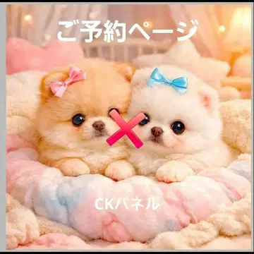 초레어 포메라니안, 말티즈, 시바견, 치와와, 퍼그, 토이푸들 패널 원단