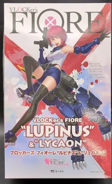 VOLKS 브로커즈 피오레 '루피나스'&'류카온' 아스테로아세트