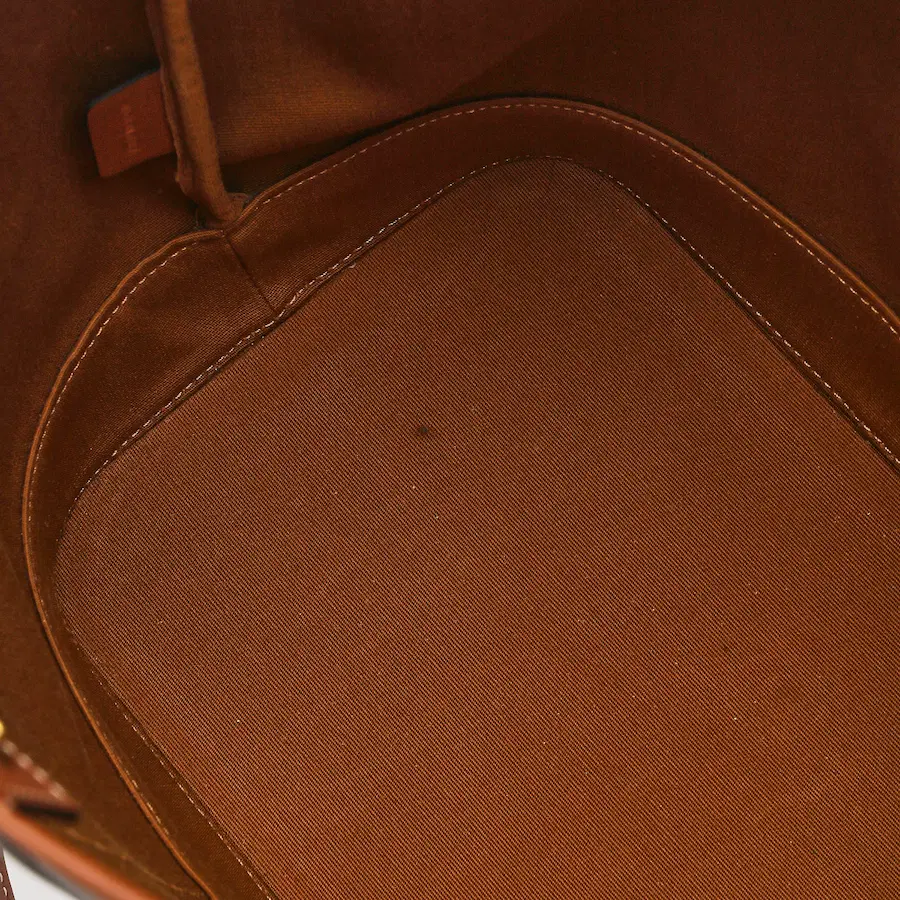 Celine Triomphe 帆布与小牛皮水桶包（中号）