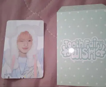 nct wish 시즌 그리팅 2026 MD 트레이딩 카드 사쿠야