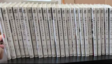 문호 스트레이독스 전권 세트 1-23권+25권+문고본