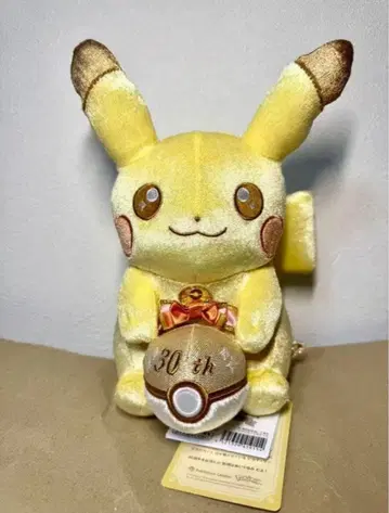 피카츄 30주년 기념 봉제 인형