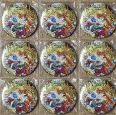 슬레이어즈 30주년 기념 앨범 게이머즈 캔뱃지 9개