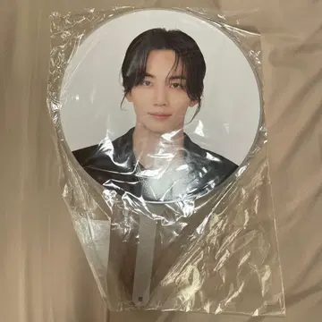 SEVENTEEN 정한 부채