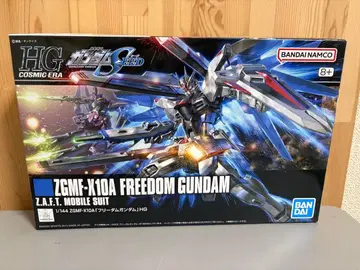 HG ZGMF-K10A FREEDOM GUNDAM