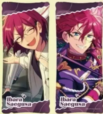 앙상블 스타즈 앙스타 GiGO 빅 쿠션 사에구사 이바라 Eden