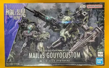 반다이 HG 메이레스 고우요 커스텀 19