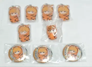 BLEACH 싸개 아소토 쿠로사키 이치고 마스코트 참 캔뱃지 9점