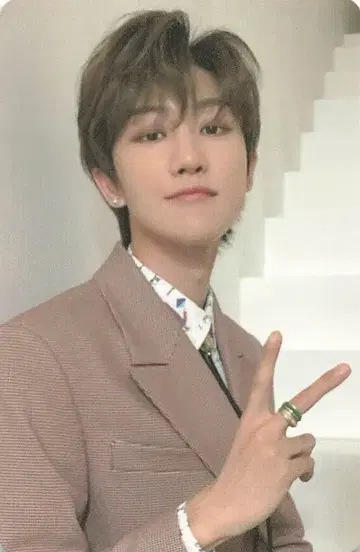 SEVENTEEN 떨어지는 꽃잎 THE8 트레이딩 카드