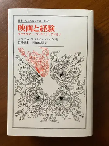 영화와 경험: 클라크라우어, 벤야민, 아도르노 미리아무 브라투 한센