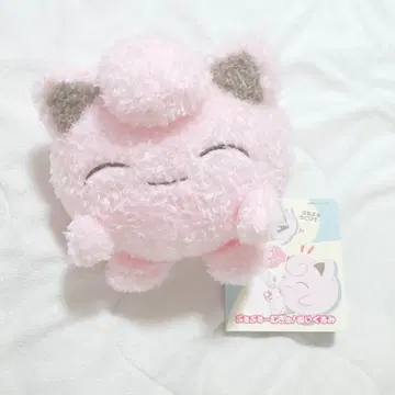 포켓몬 부르부프 - 꼬옥! 봉제 인형 푸딩