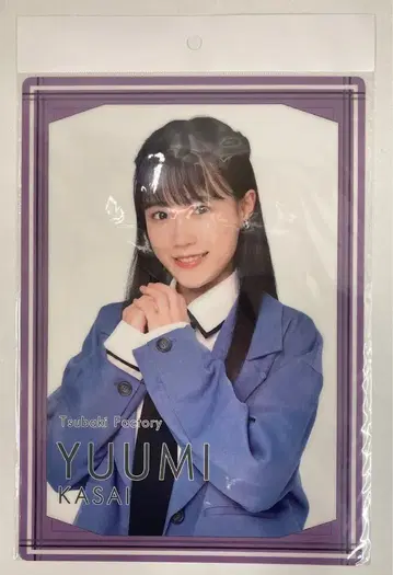 츠바키 팩토리 걸리시 카사이 유신 솔로 비주얼 B5 하드 포스터