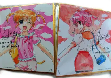 리리컬 나노하 미니 색지 타카마치 나노하 이리스