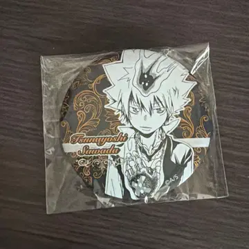 츠나 중국 데 컬렉션 캔뱃지 REBORN