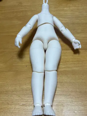 TinyFox 1/6 화이트 스킨 (구 바디)