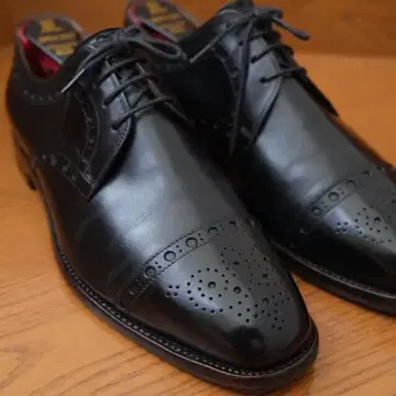 스코치 그레인 24.5 슈트리 포함